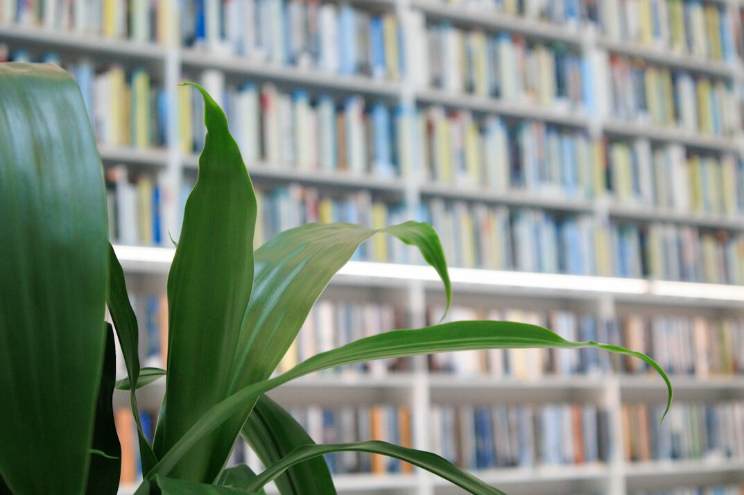 Old library with tall bookshelves